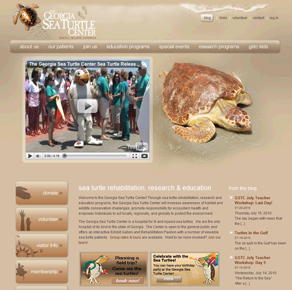The Georgia Sea Turtle Center